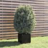Garden Planter Black 15.7"x15.7"x15.7" Solid Wood Pine