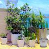 Automatic Solar Powered Drip Irrigation System Kit Rechargeable Plant Programmable Watering Timer Device Up to 15 Plants For Indoor Outdoor Patio Gard